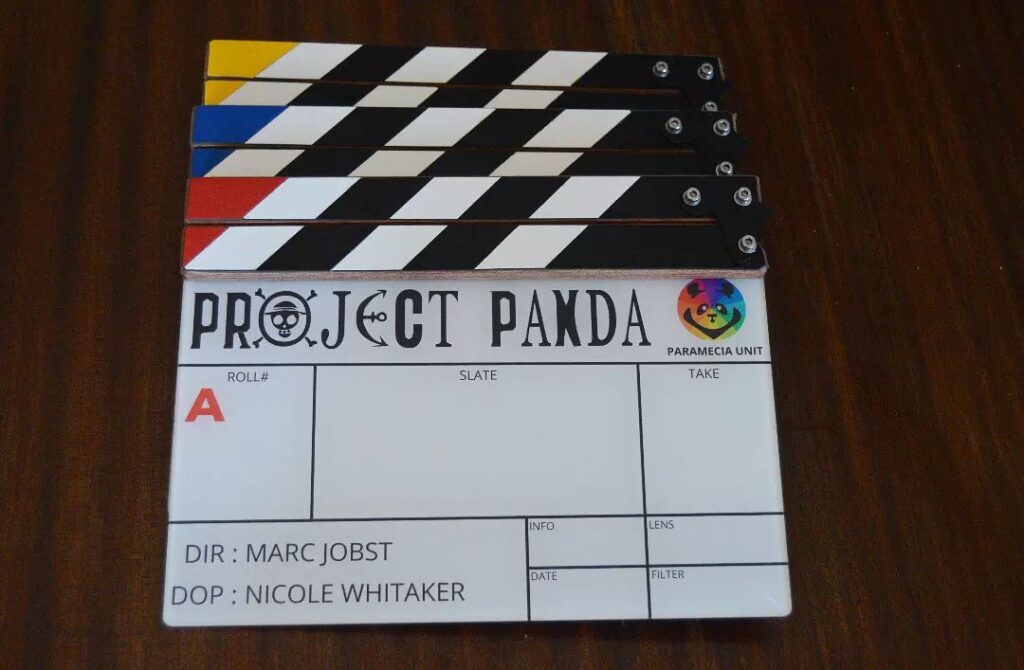 Project Panda Netflix